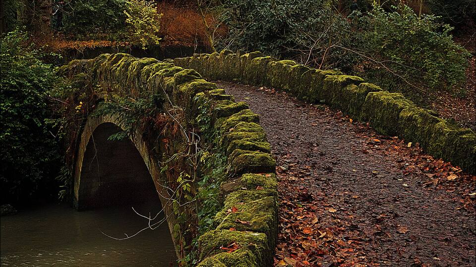 A moss-covered stone bridge over a river, surrounded by dense foliage and fallen leaves.