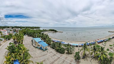 landscape with fence and sky