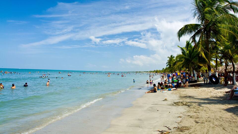 A crowded beach with palm trees and people swimming in the water.