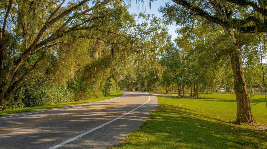 San Mateo which includes a park