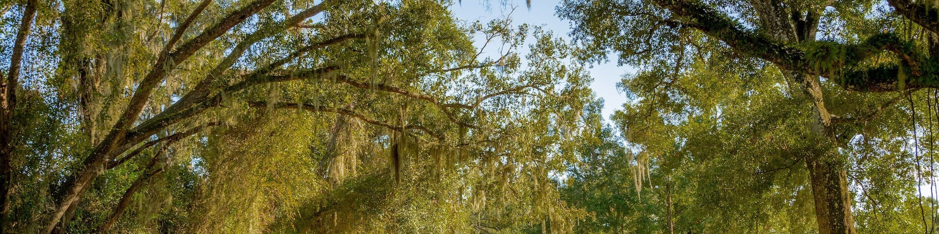 San Mateo which includes a park