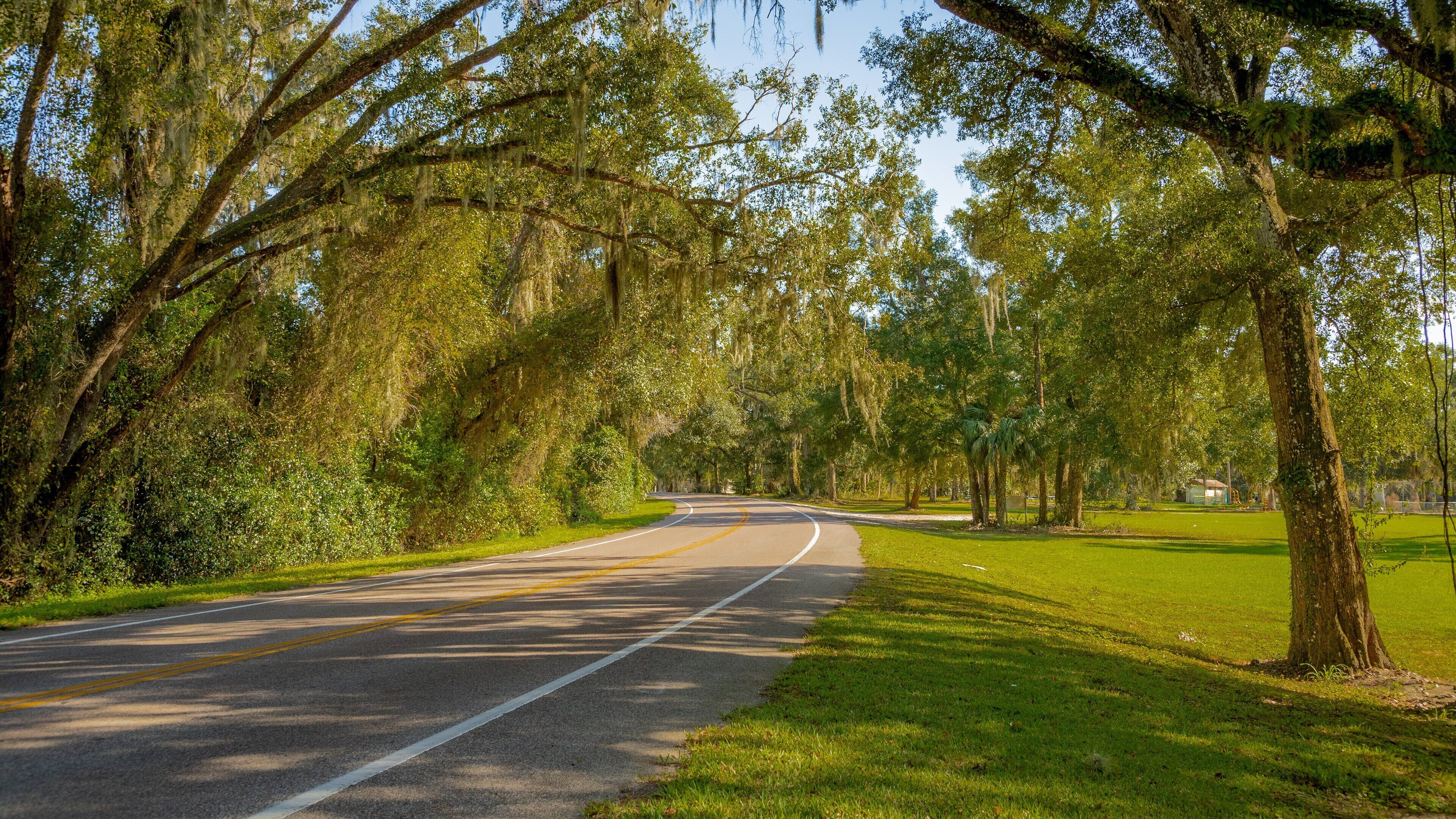 A curving road lined with trees and grass.