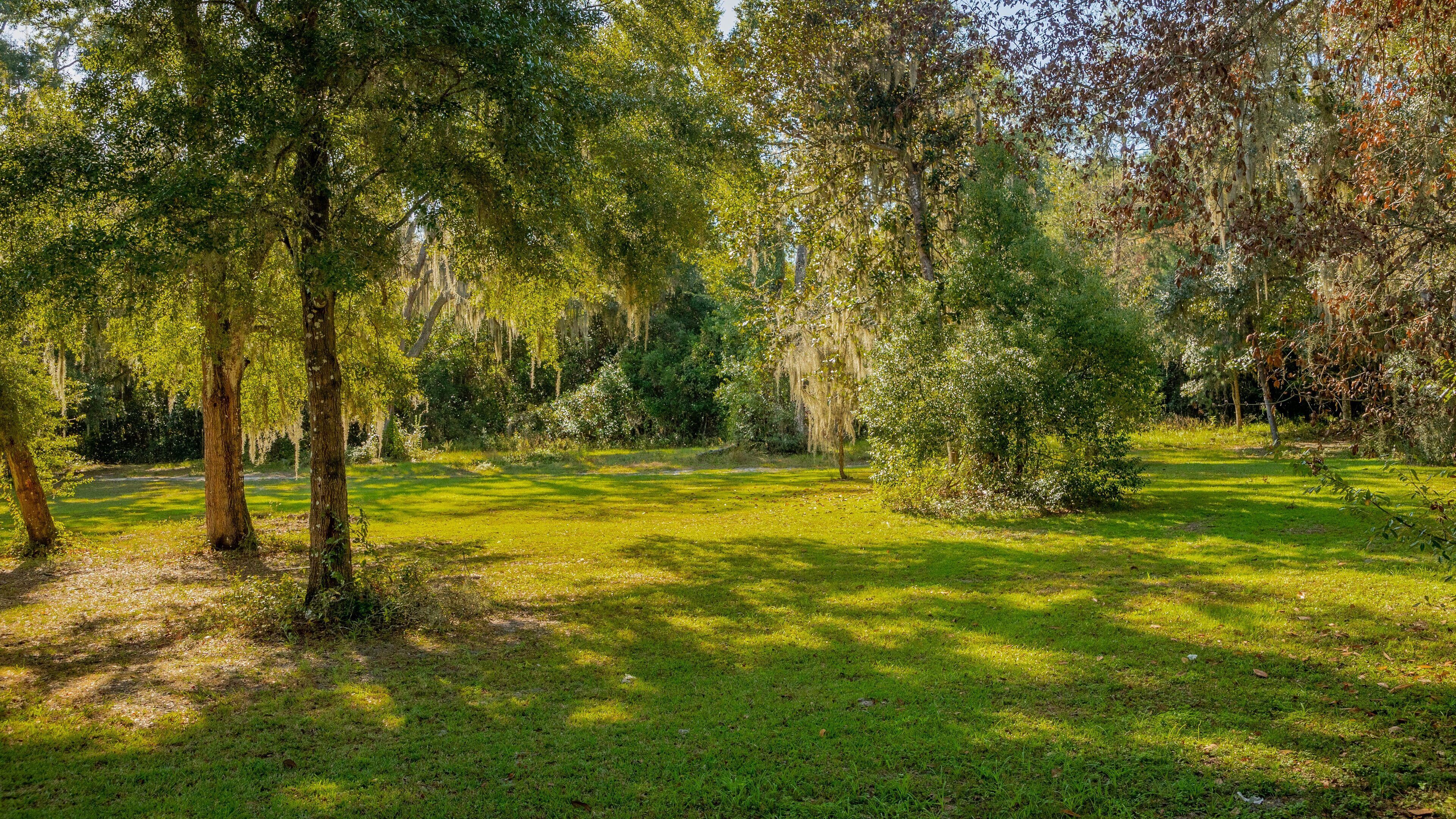 San Mateo showing a park