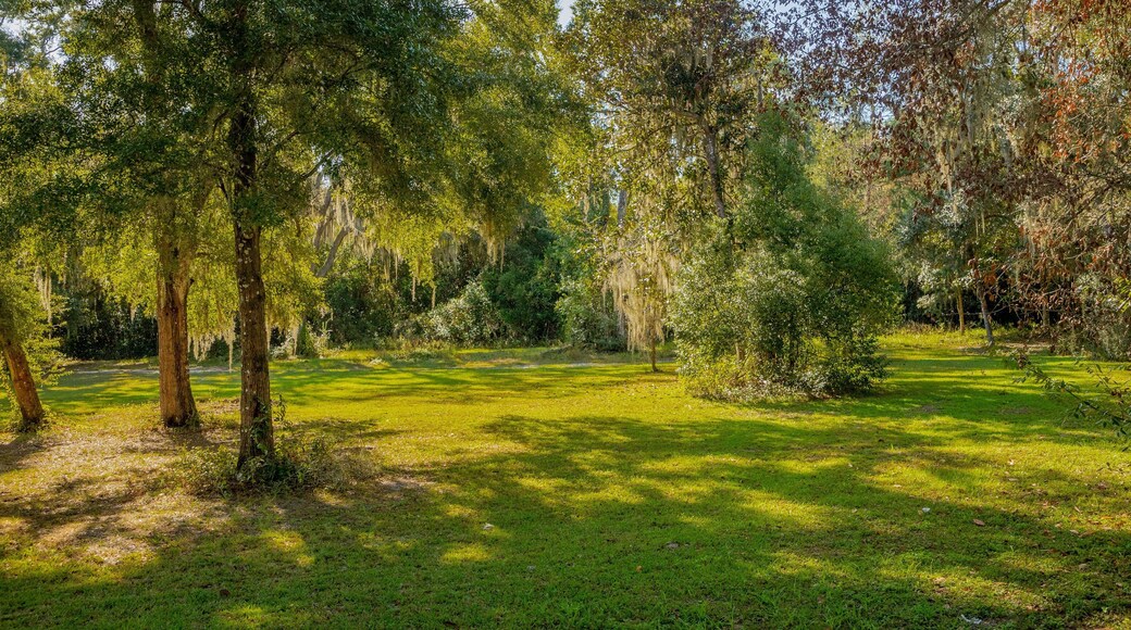 San Mateo showing a park