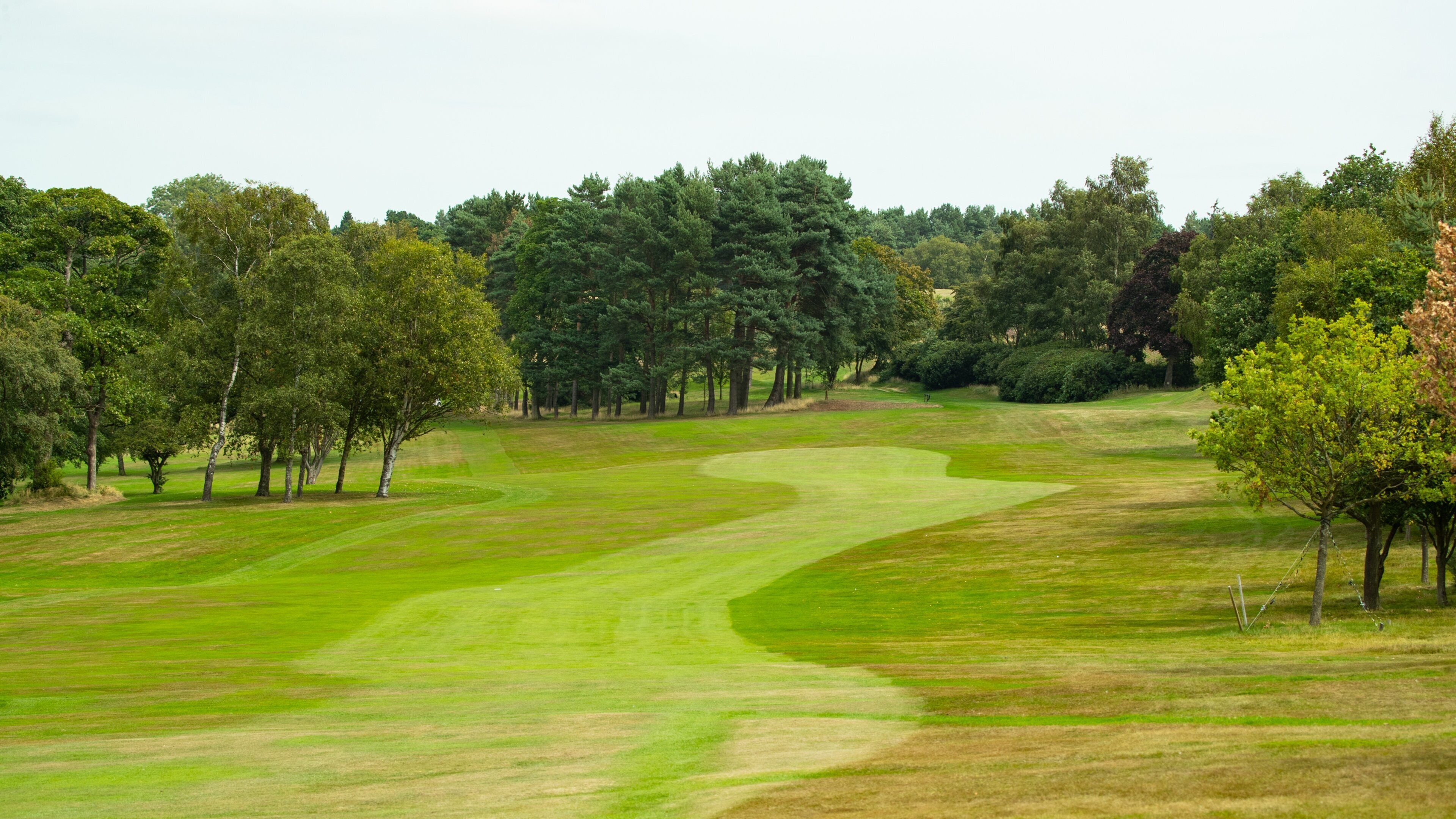 Pannal Golf Club which includes golf