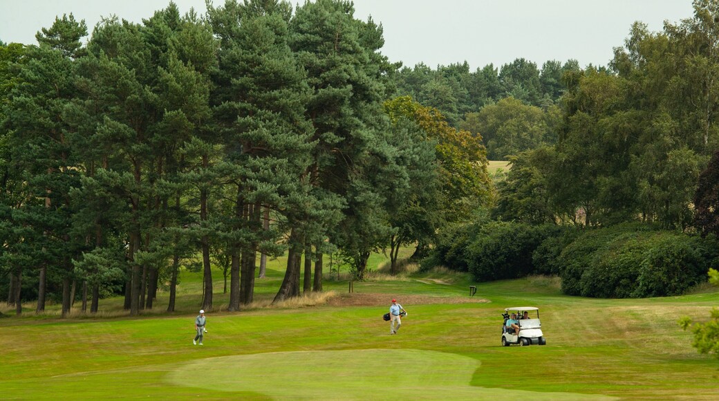 Pannal Golf Club