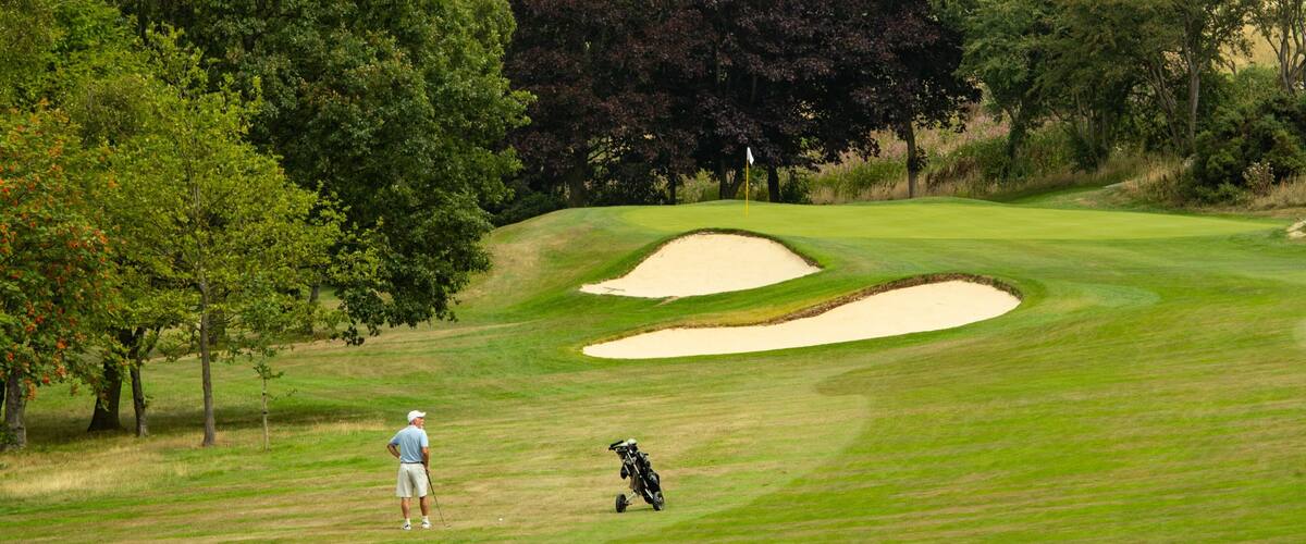 A golf course with sand bunkers, a golfer, and trees.