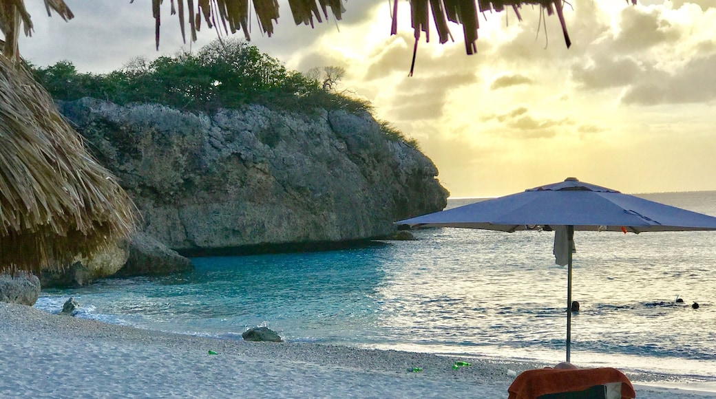 Knip Beach in Curacao
Beautiful small cove where the locals go
#BeachBound