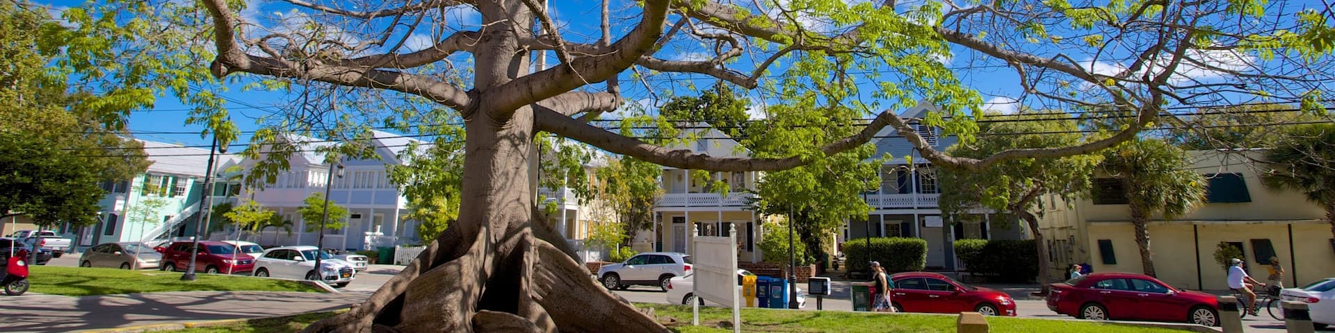 Jackson Square showing a garden