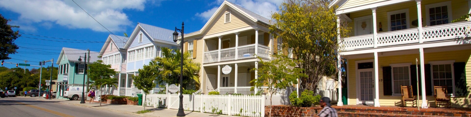 Jackson Square showing a house and street scenes