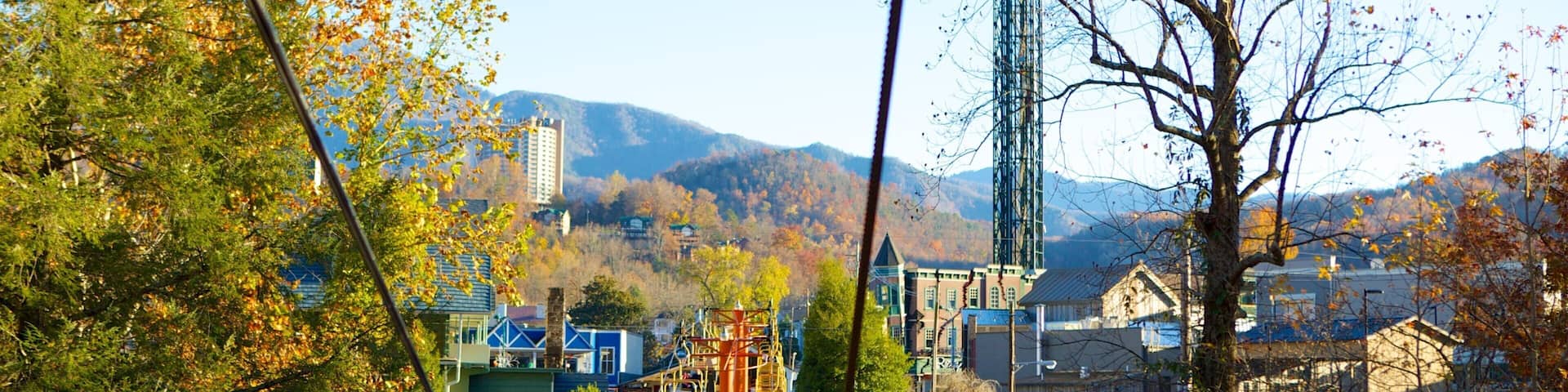 Gatlinburg Space Needle showing a park and a small town or village