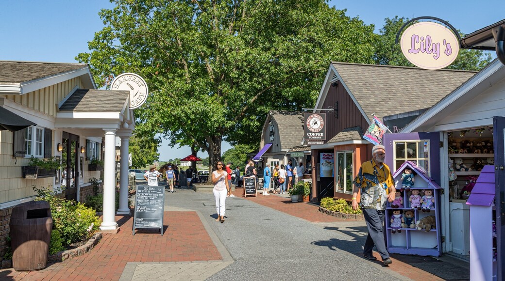 Kitchen Kettle Village showing a small town or village and street scenes