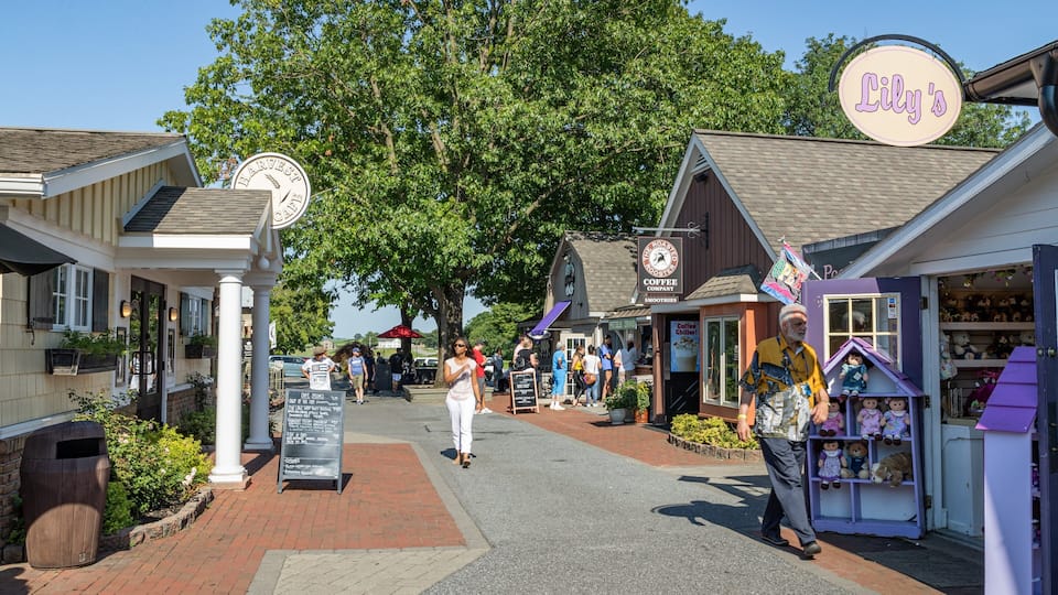 A bustling outdoor shopping area with various shops, including a coffee shop and a store with a purple sign.