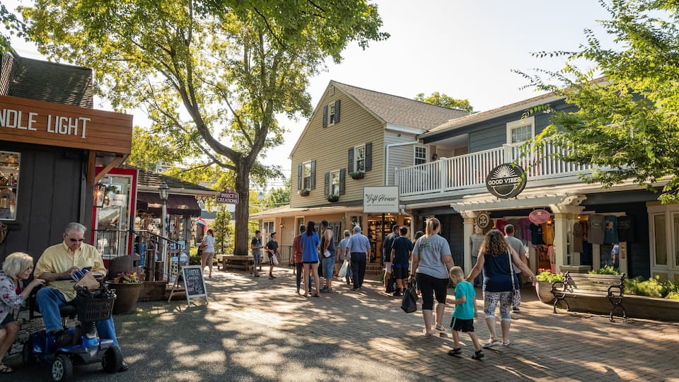 A bustling street with shops, a tree-lined walkway, and people walking.