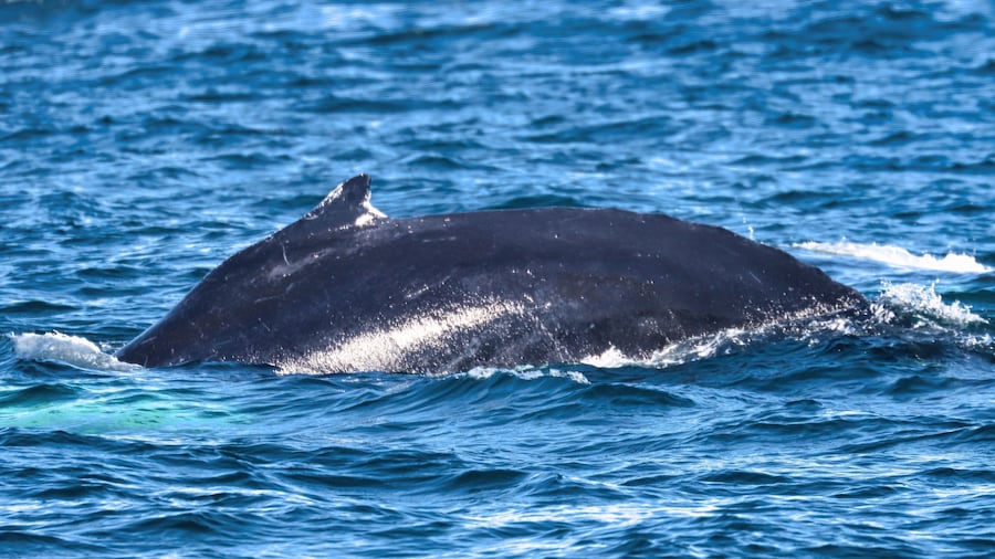 Bar Harbor, Maine USA