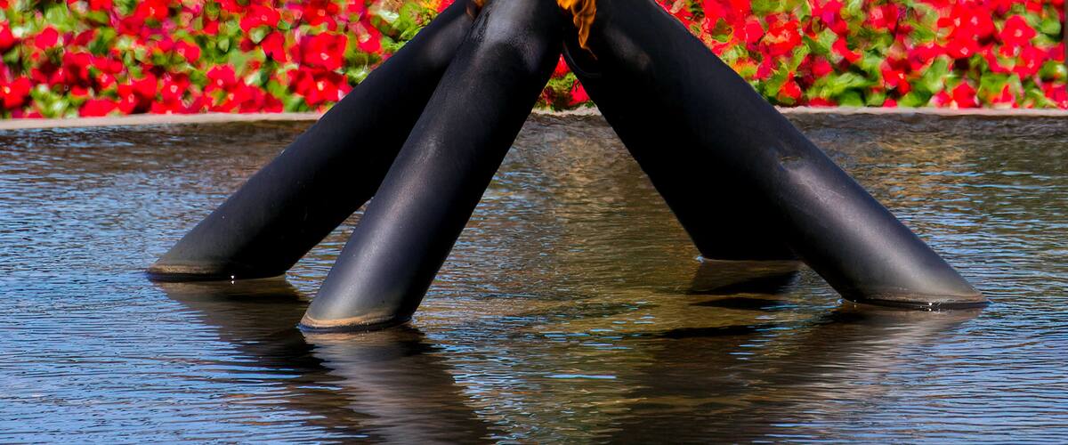 Eternal flame in Perth's Kings Park Garden Western Australia