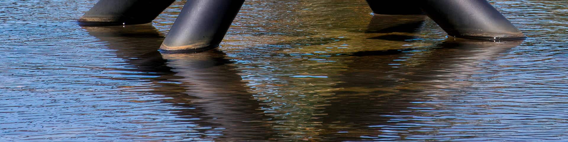 Eternal flame in Perth's Kings Park Garden Western Australia