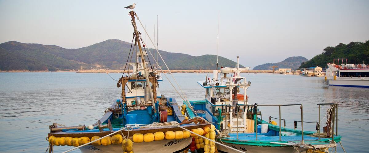 Two fishing boats tied together in calm waters with mountains in the background.