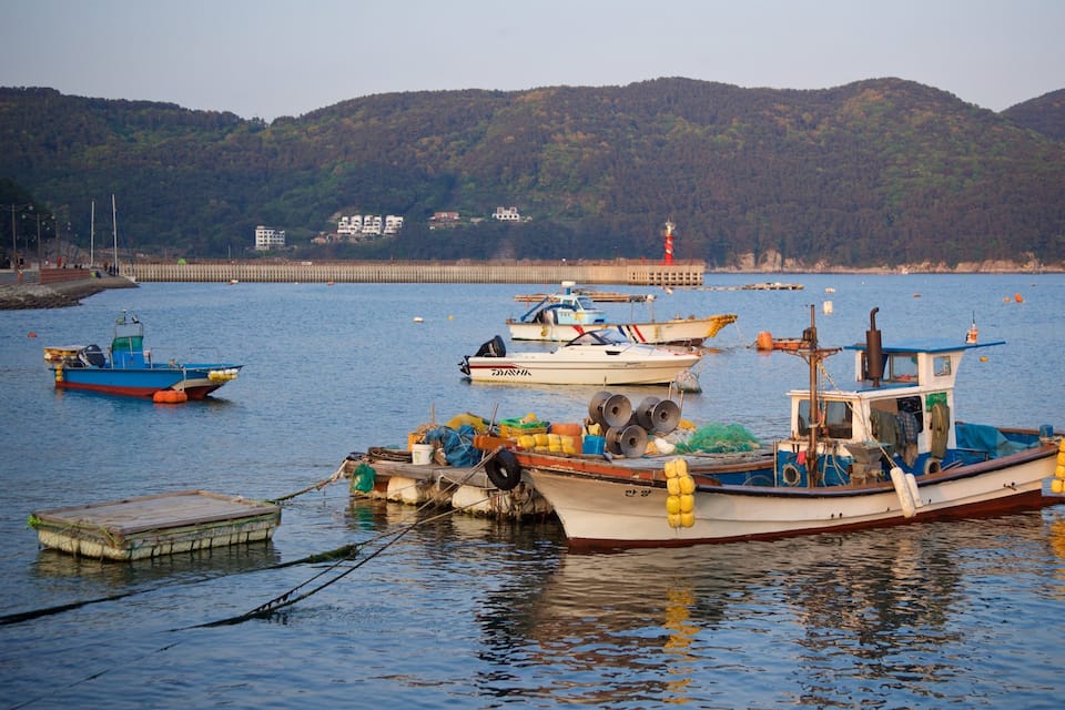 Un puerto con varias embarcaciones amarradas, un muelle y una colina boscosa al fondo.