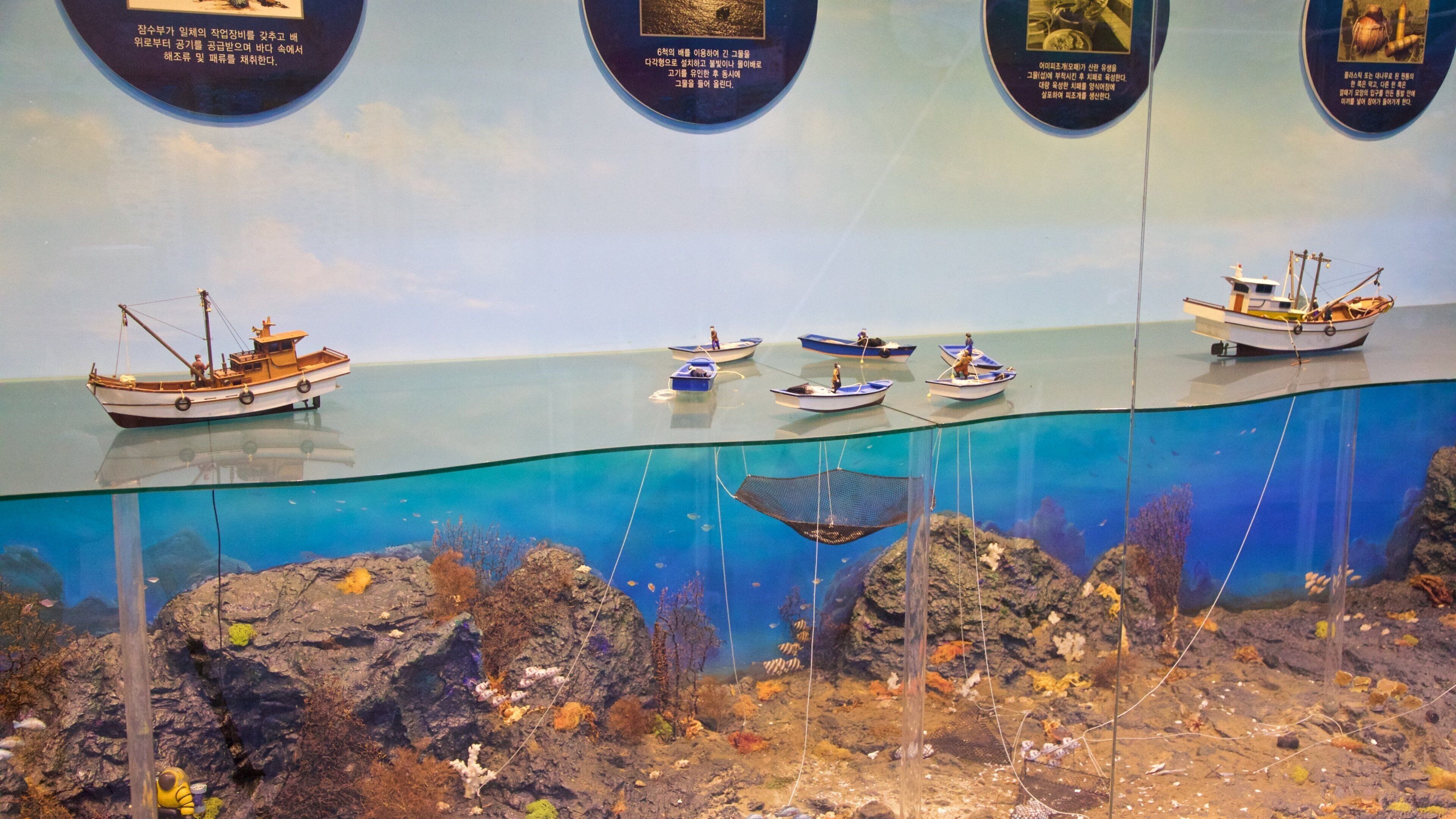 Geoje Shipbuilding Marine Cultural Center featuring marine life