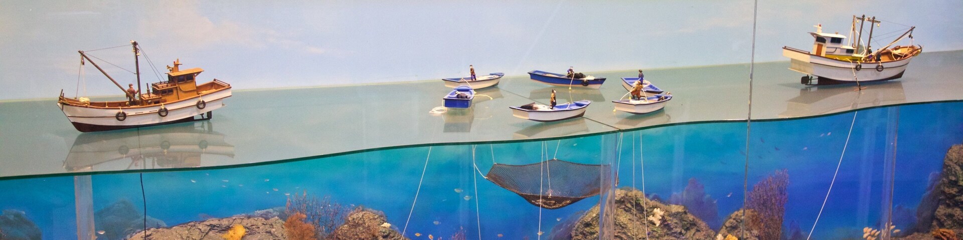 Geoje Shipbuilding Marine Cultural Center featuring marine life