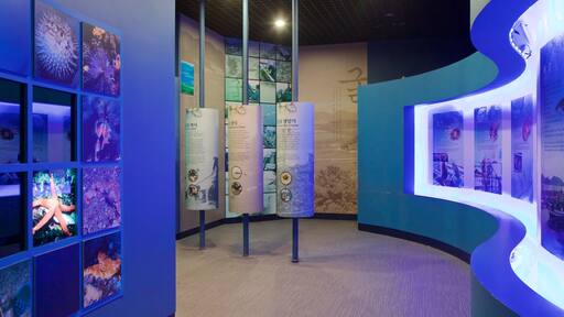 Geoje Sea Village Folk Museum which includes interior views and marine life