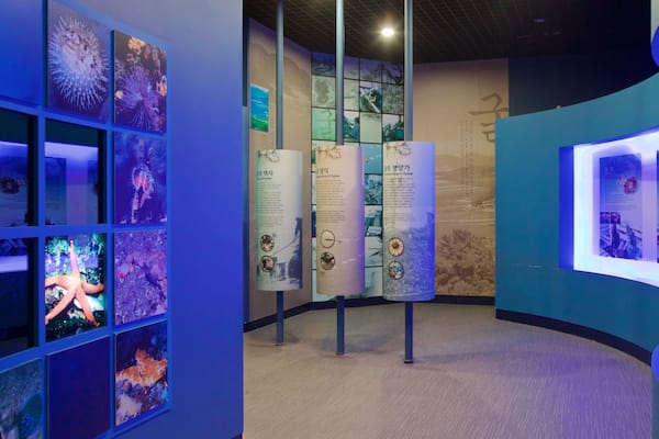 Geoje Sea Village Folk Museum which includes interior views and marine life