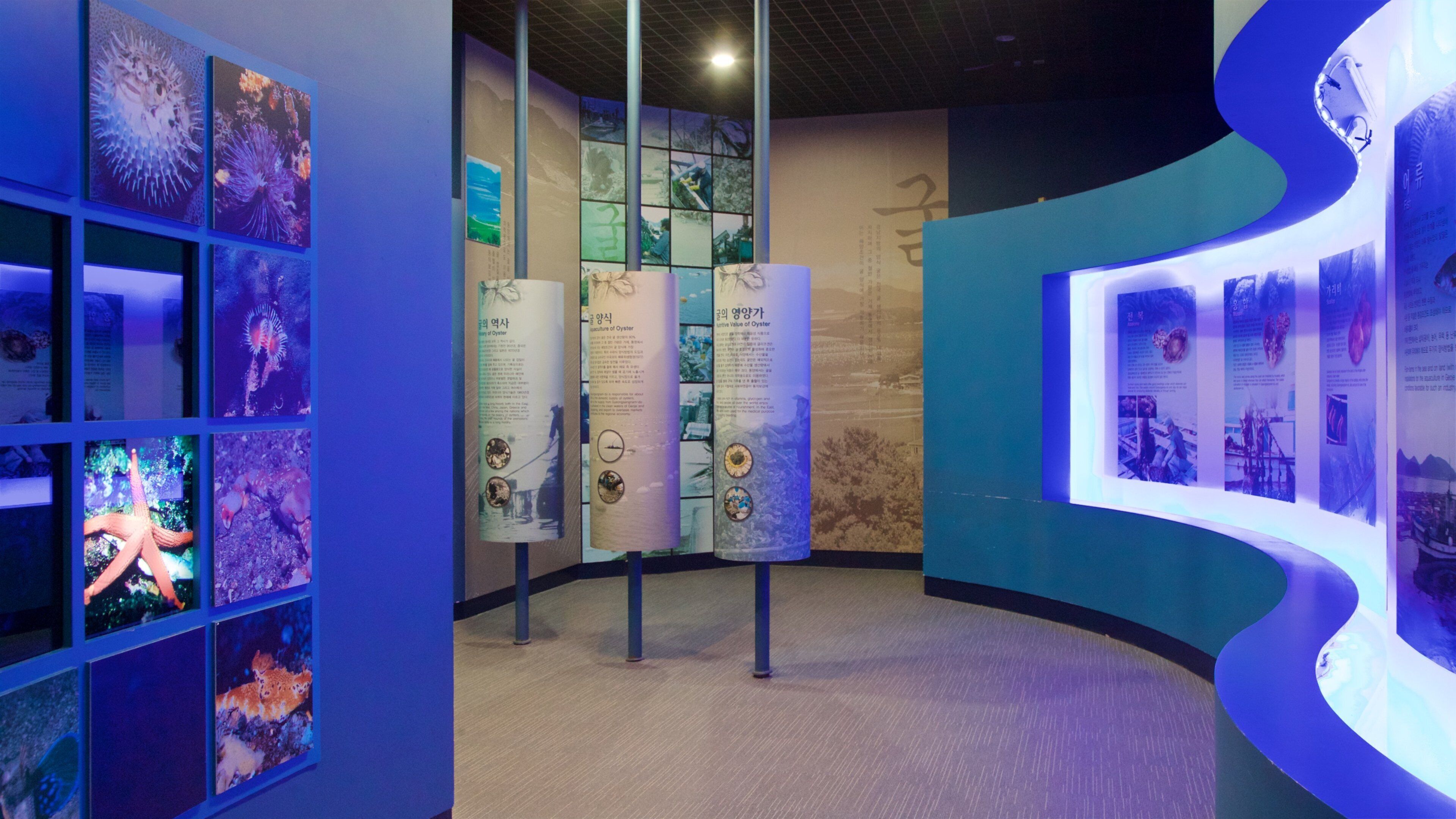 An exhibit with marine life displays and informational panels.