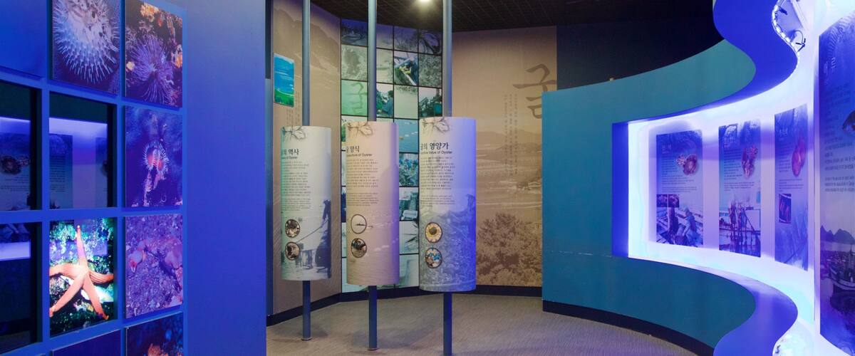 An exhibit with marine life displays and informational panels.