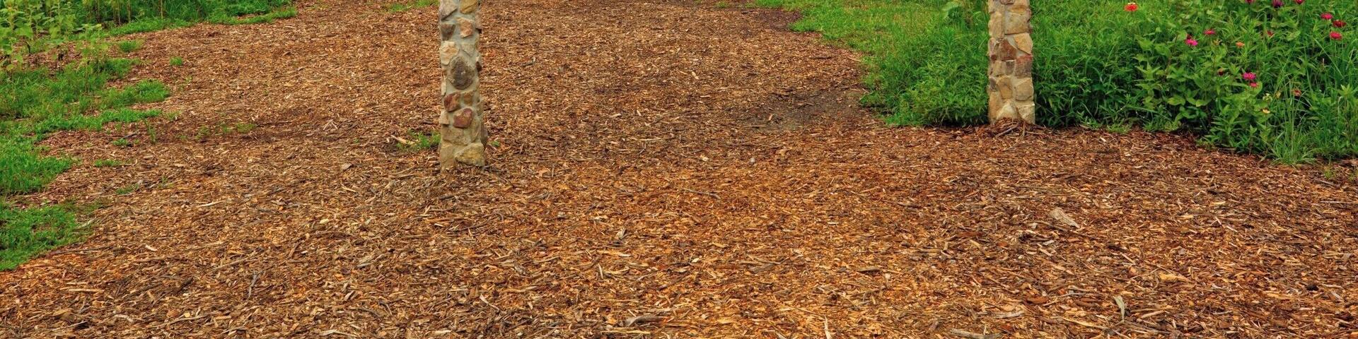 Copper Creek Farms is 1 1/2 hours north of Atlanta. At the end of June and beginning of July, the public is allowed in to pick sunflowers and zinnias. Lots of families bring their kids here for photos among the sunflowers. There are also farm animals and a kids train that encircles the fields. And they grow beautiful sunflowers!