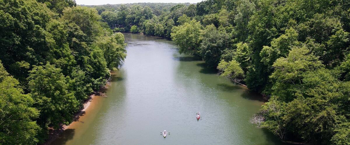 A river surrounded by dense green forest.