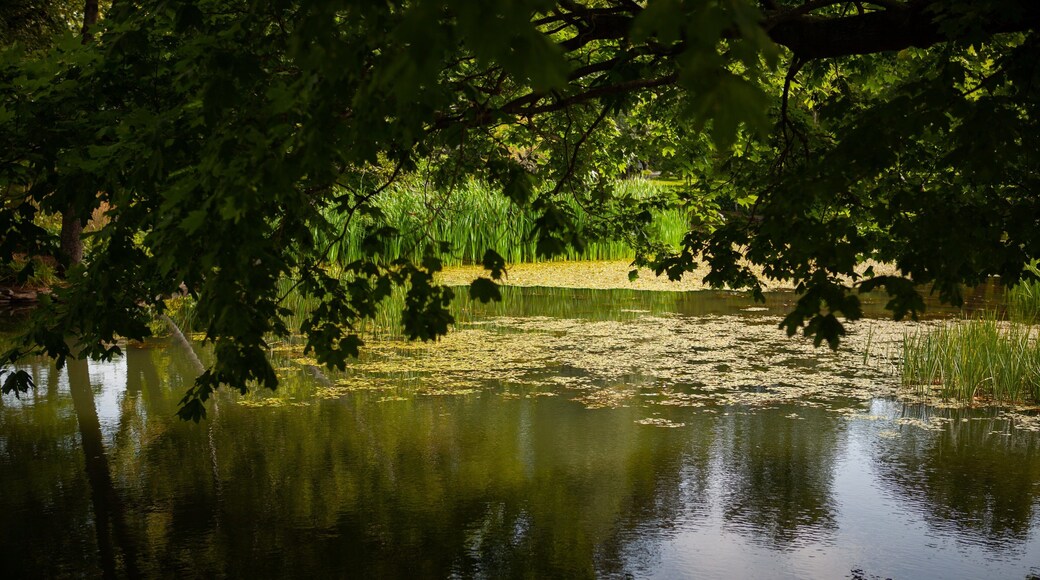 Halifax Public Gardens featuring a pond