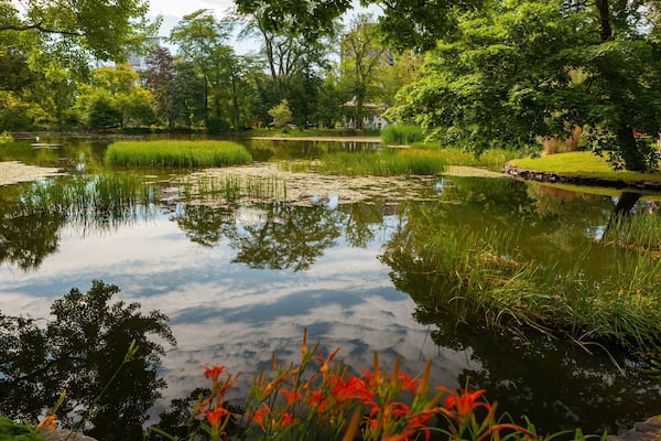 Halifax Public Gardens featuring a pond