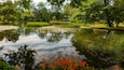 Halifax Public Gardens featuring a pond