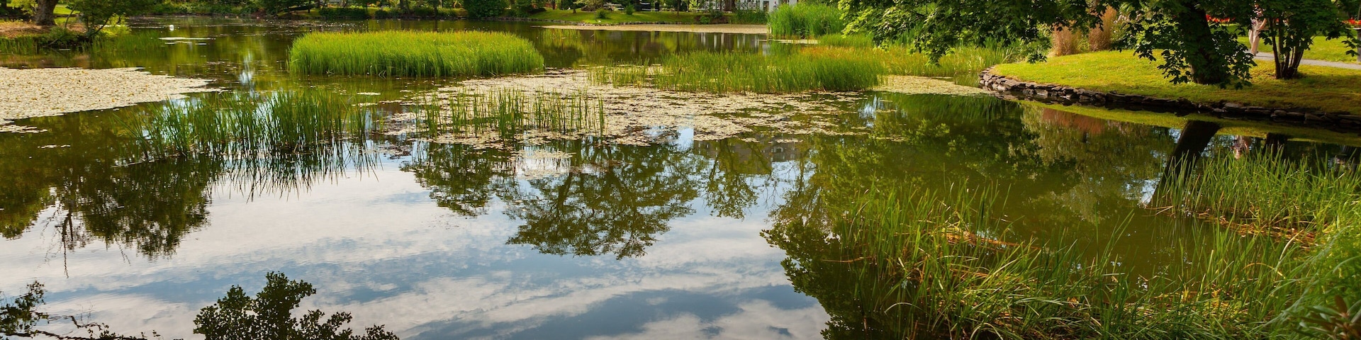 Halifax Public Gardens featuring a pond