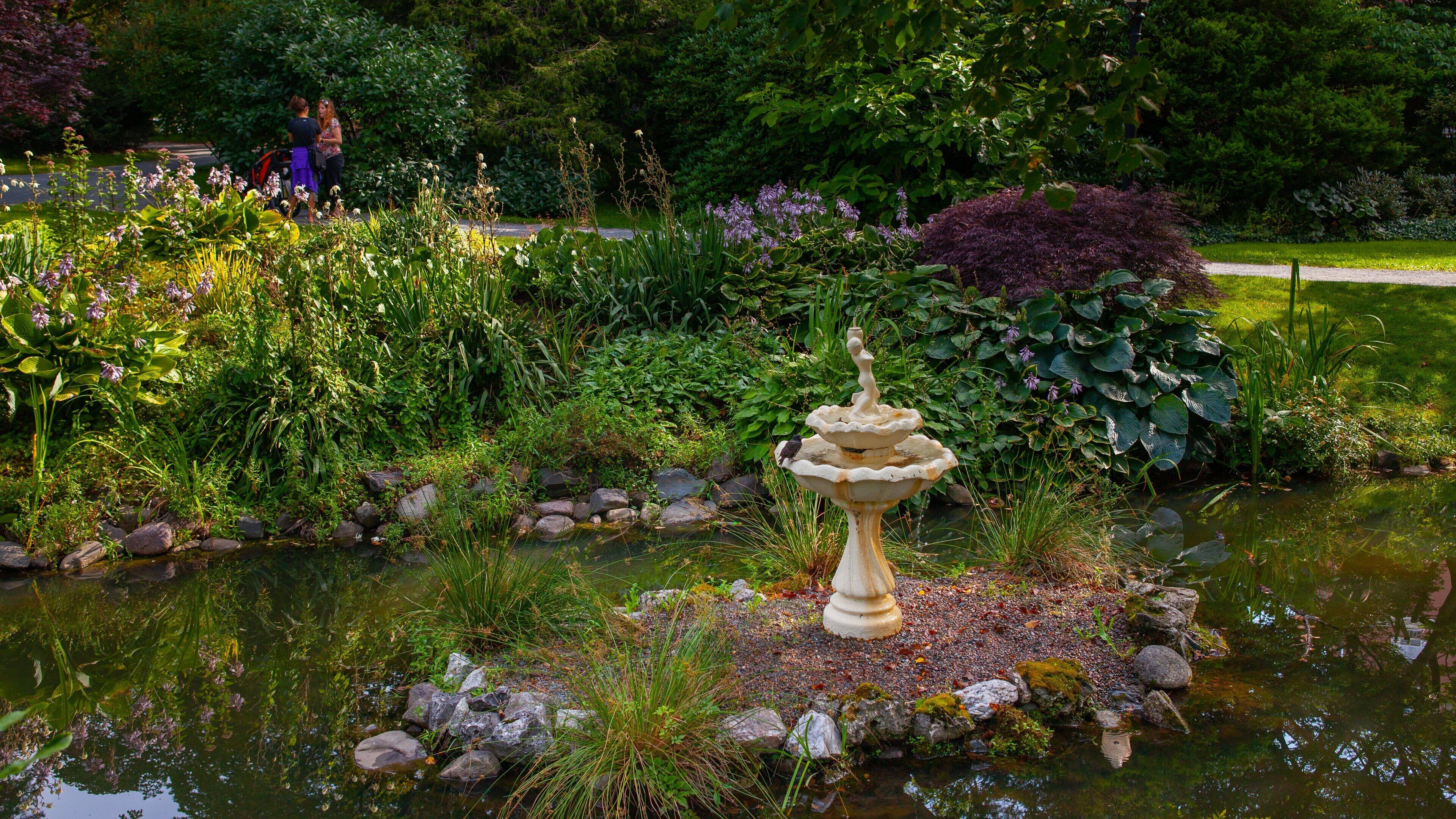 Halifax Public Gardens featuring a fountain, a pond and a park