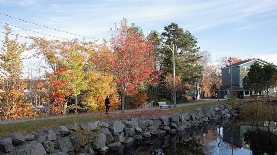 Halifax_MountSaintVincentUniversity_6250031_3