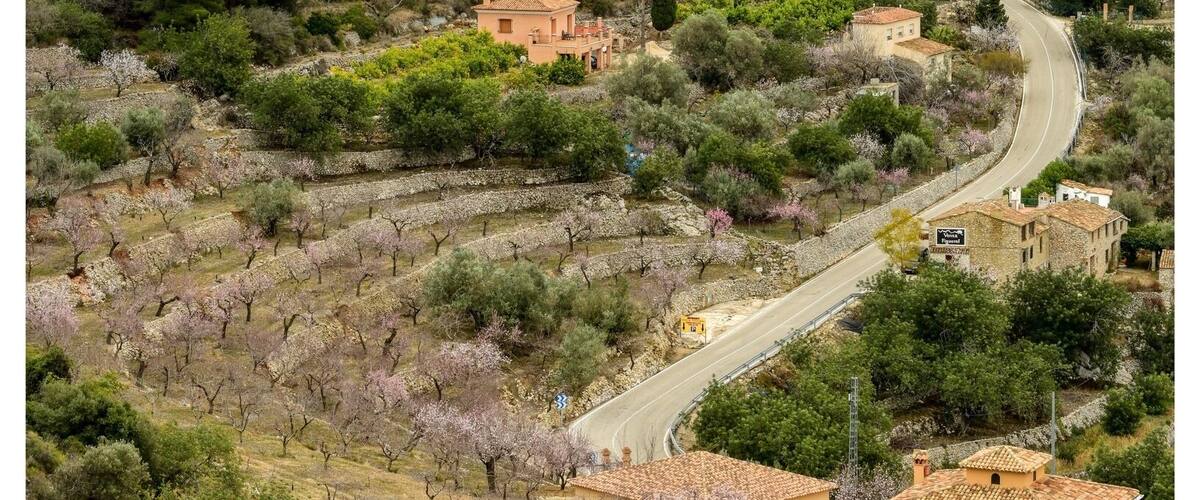 This pic is from the viewpoint about 0.5km downhill from the restaurant. Had lunch here a while back, gorgeous. I had the 'wild boar stew' and really enjoyed it. The view from this place is outstanding and the service is also very good, moderately priced.