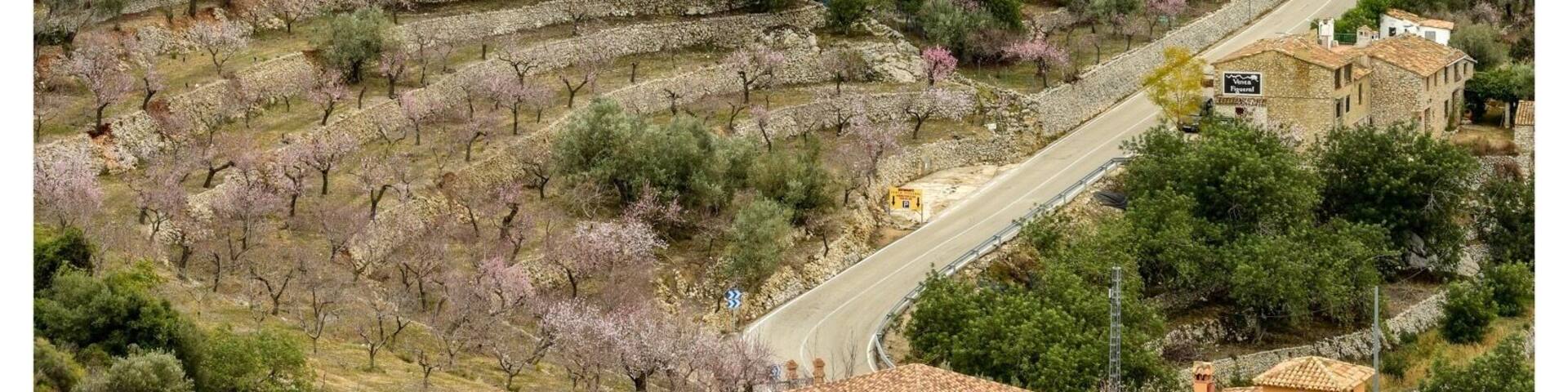 This pic is from the viewpoint about 0.5km downhill from the restaurant. Had lunch here a while back, gorgeous. I had the 'wild boar stew' and really enjoyed it. The view from this place is outstanding and the service is also very good, moderately priced.