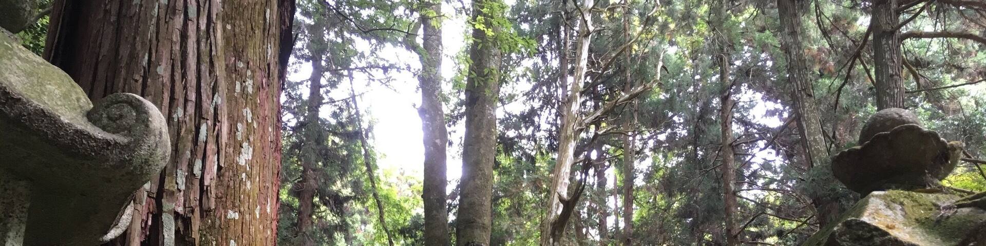 The grave of Mouri Motonari who dominated this district during Japan's Warring States period
It is known as a strategist who leads the army to victory with the careful and rational strategy and dangerous negotiations