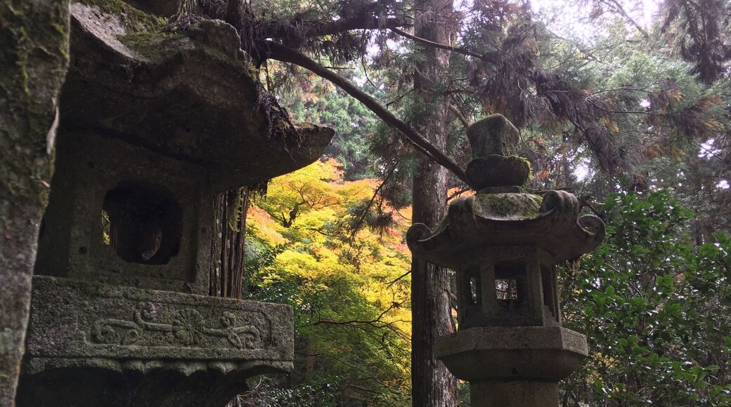 The old stone lantern and autumn leaves that can be seen in the back.
Things that have stopped and trees that keep living for a long time.