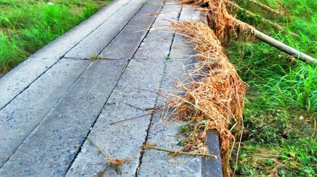 bridge designed to be underwater during a flood