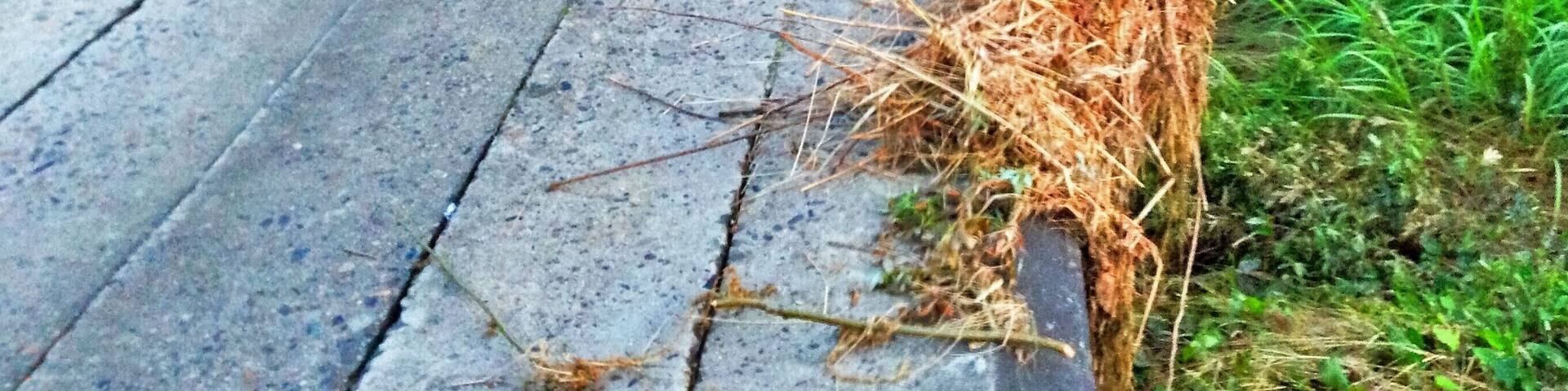 bridge designed to be underwater during a flood