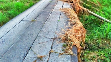 bridge designed to be underwater during a flood