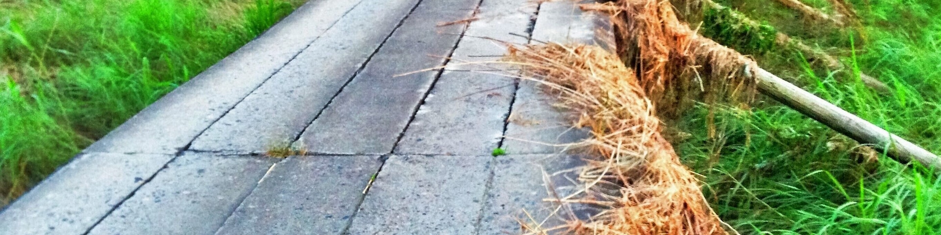 bridge designed to be underwater during a flood