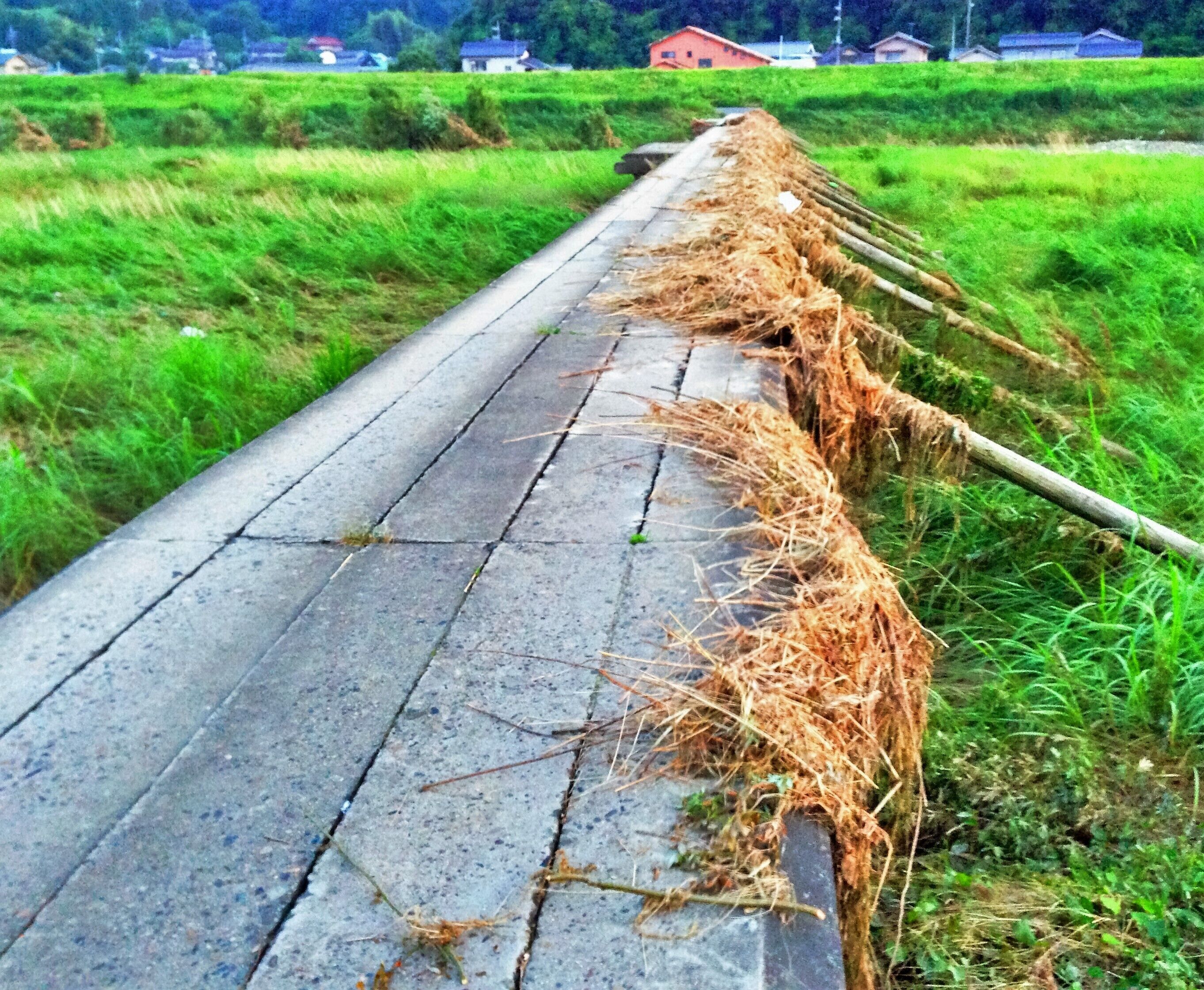 A concrete pathway with a pile of straw and sticks on the right side, surrounded by green fields and houses in the background.