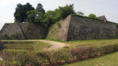 Sasayama Castle in Sasayama, Hyogo prefecture, Japan