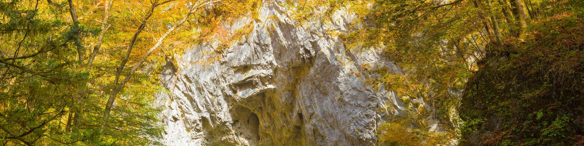 Autumn in Teishakyo Gorge, Japan,Hiroshima Prefecture,Shobara, Hiroshima