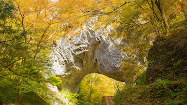 Autumn in Teishakyo Gorge, Japan,Hiroshima Prefecture,Shobara, Hiroshima