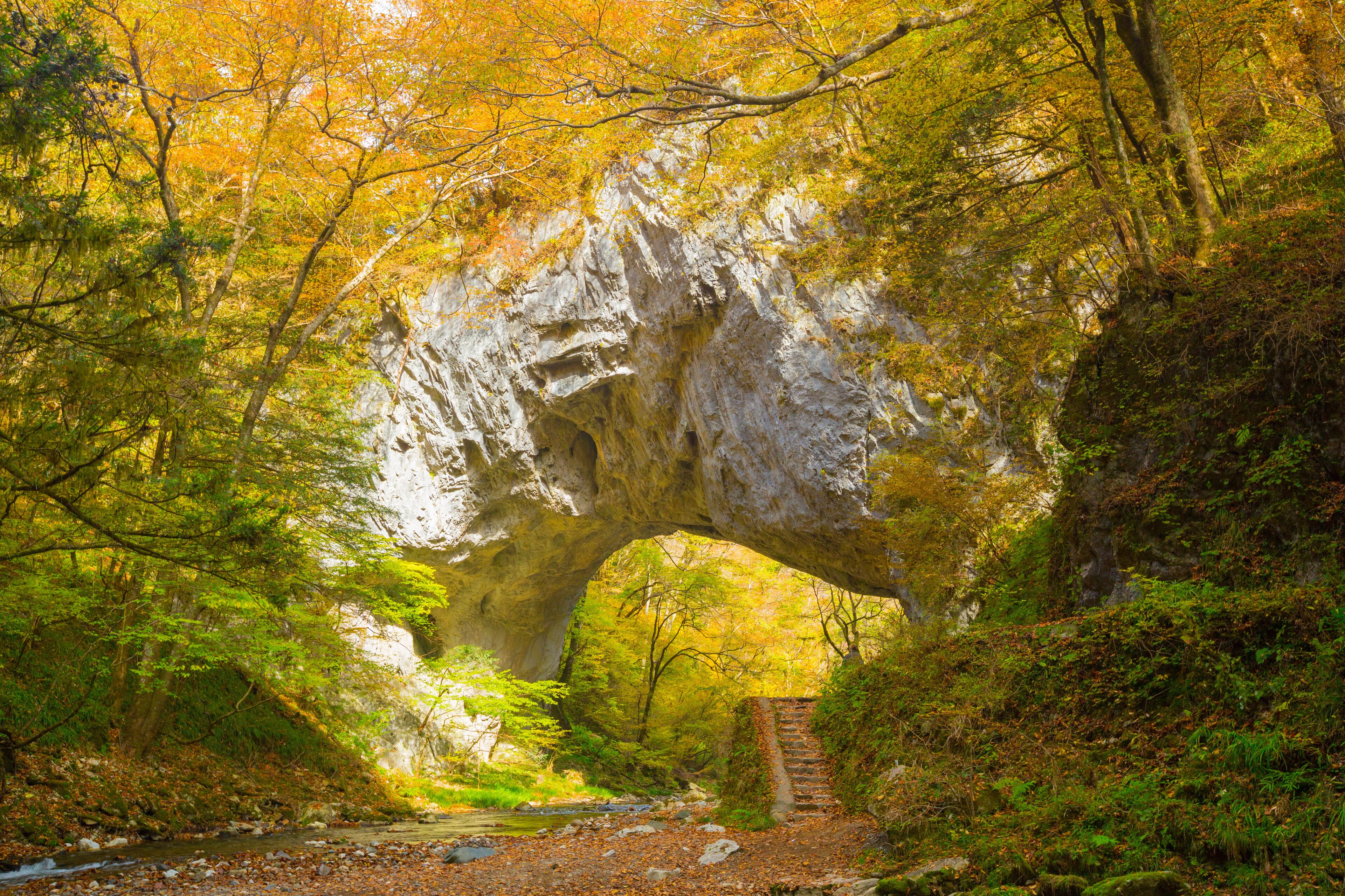 A forest with a large rock archway, a stream, and a trail.